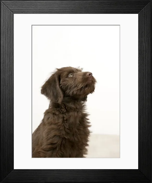 Framed Print : Picture No. 10983852 Framed Print : Picture No. 10983852