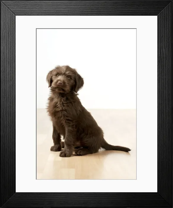 Framed Print : Picture No. 10983849 Framed Print : Picture No. 10983849