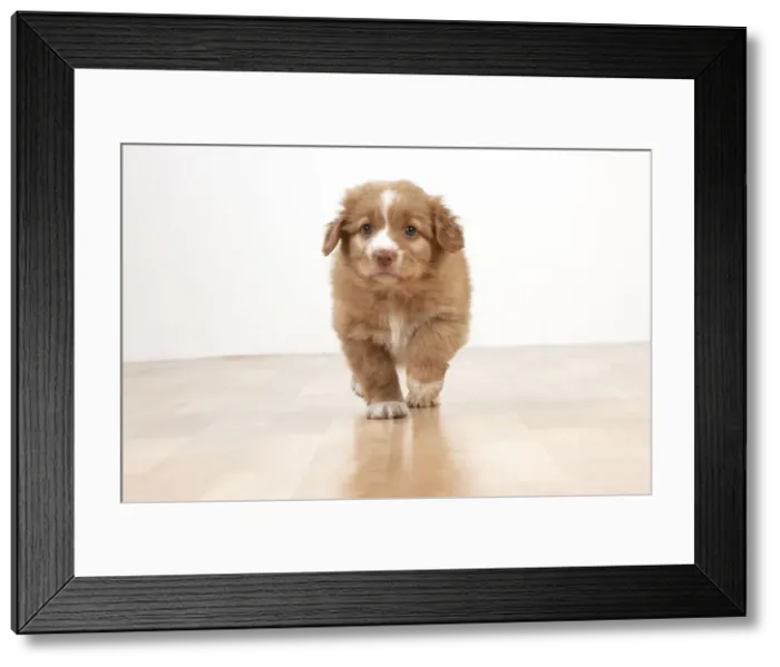 Framed Print : Picture No. 10983857 Framed Print : Picture No. 10983857