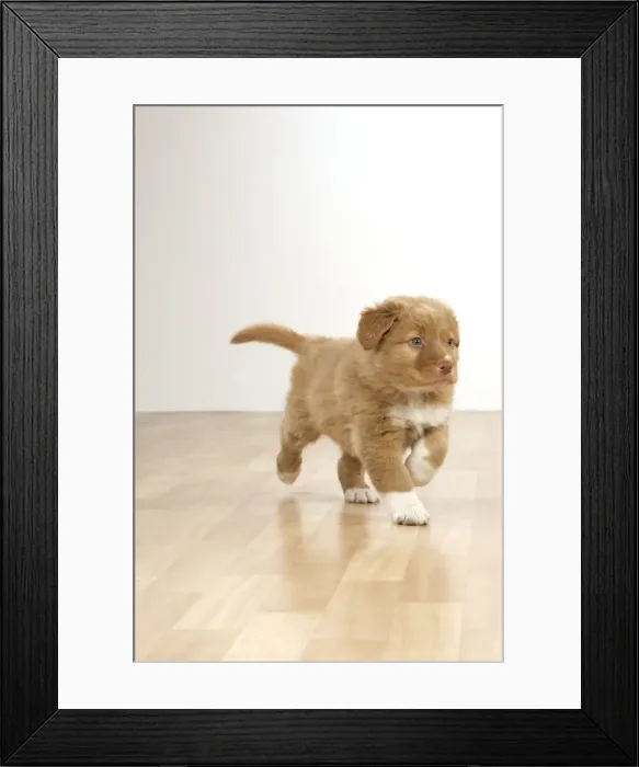 Framed Print : Picture No. 10983858 Framed Print : Picture No. 10983858