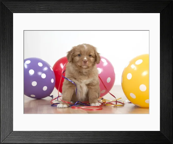 Framed Print : Picture No. 10983862 Framed Print : Picture No. 10983862