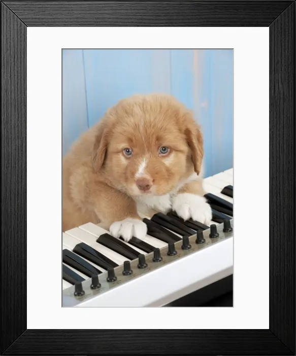Framed Print : Picture No. 10983863 Framed Print : Picture No. 10983863