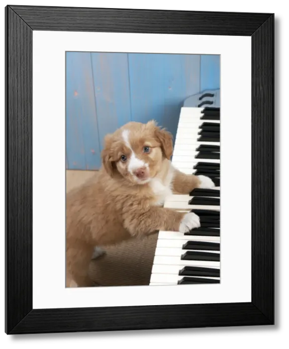 Framed Print : Picture No. 10983866 Framed Print : Picture No. 10983866