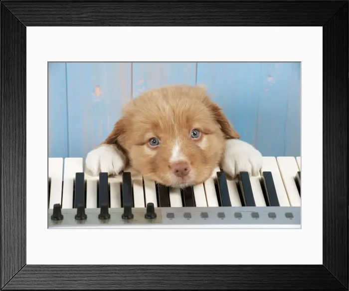 Framed Print : Picture No. 10983865