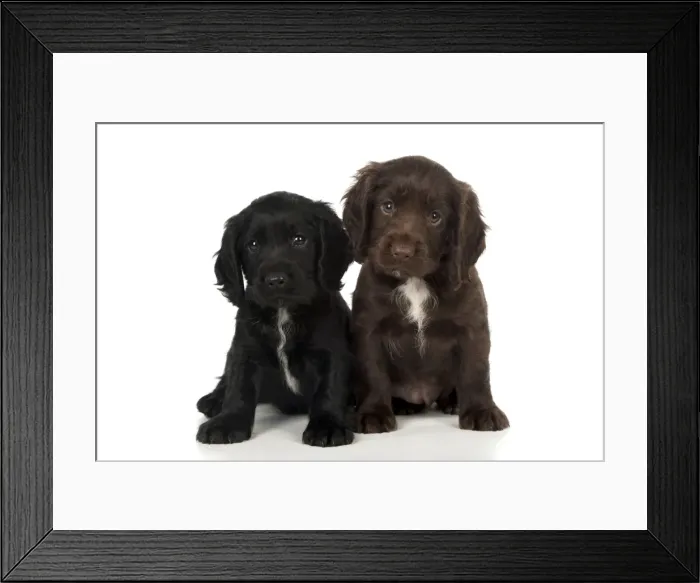 Framed Print : Picture No. 10983894 Framed Print : Picture No. 10983894