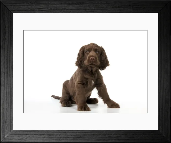 Framed Print : Picture No. 10983910 Framed Print : Picture No. 10983910