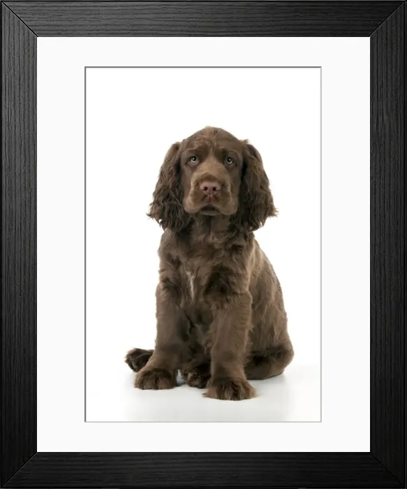 Framed Print : Picture No. 10983913 Framed Print : Picture No. 10983913