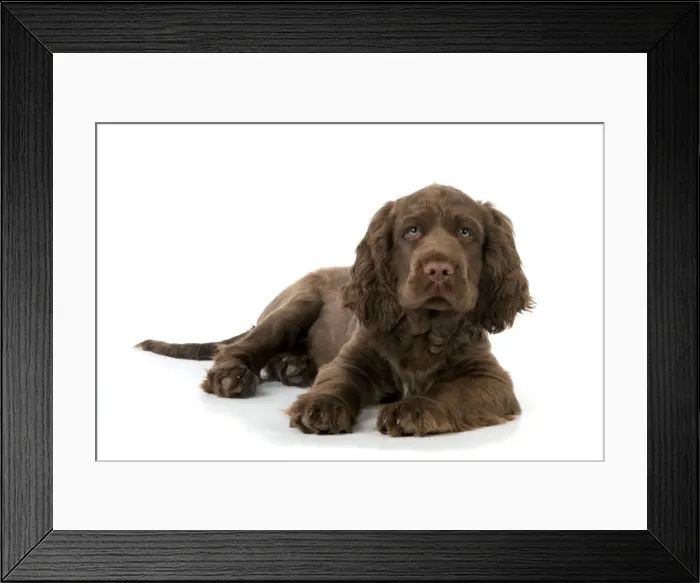 Framed Print : Picture No. 10983911 Framed Print : Picture No. 10983911