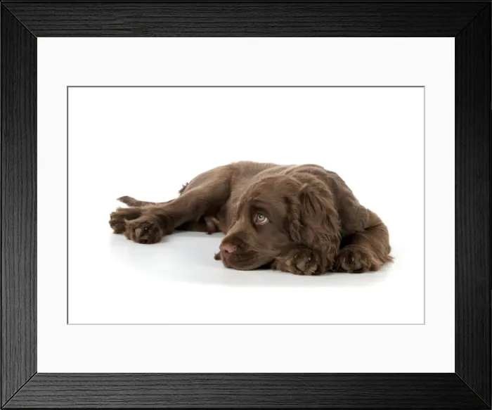 Framed Print : Picture No. 10983912 Framed Print : Picture No. 10983912