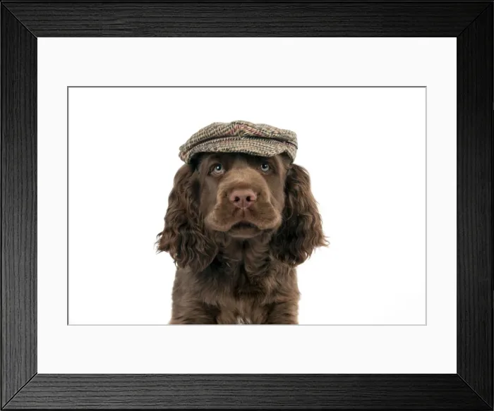 Framed Print : Picture No. 10983920 Framed Print : Picture No. 10983920