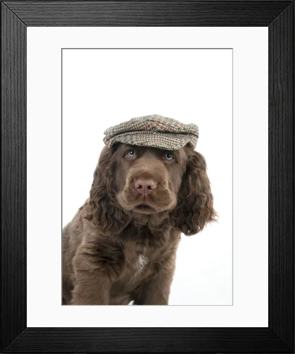 Framed Print : Picture No. 10983922 Framed Print : Picture No. 10983922