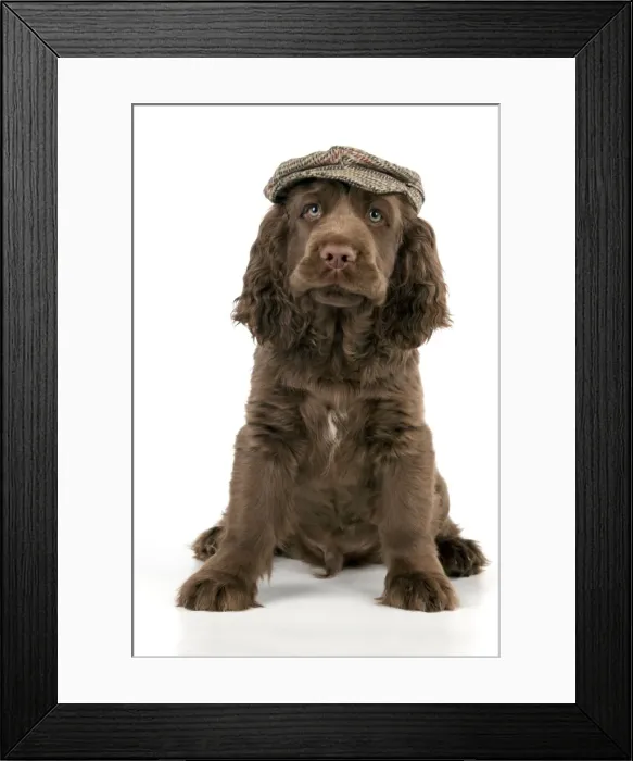 Framed Print : Picture No. 10983923 Framed Print : Picture No. 10983923