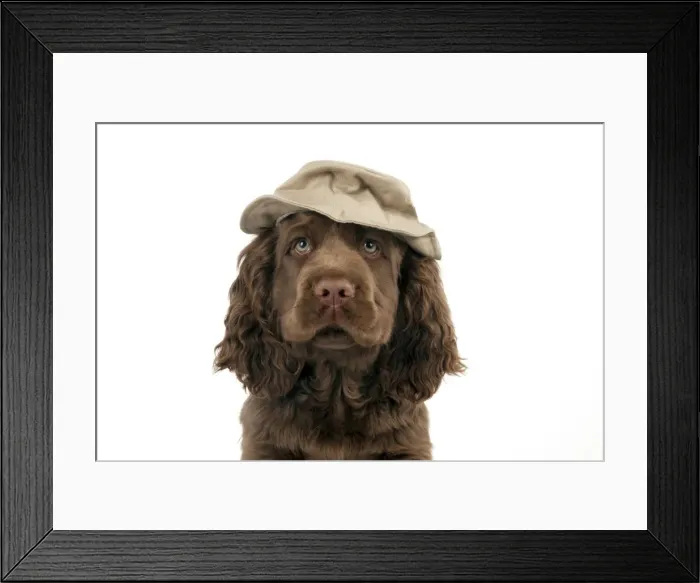 Framed Print : Picture No. 10983925 Framed Print : Picture No. 10983925