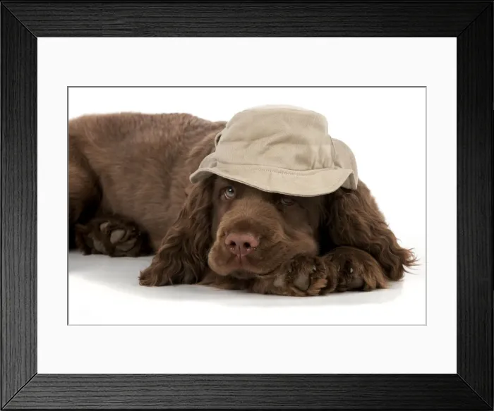 Framed Print : Picture No. 10983927 Framed Print : Picture No. 10983927