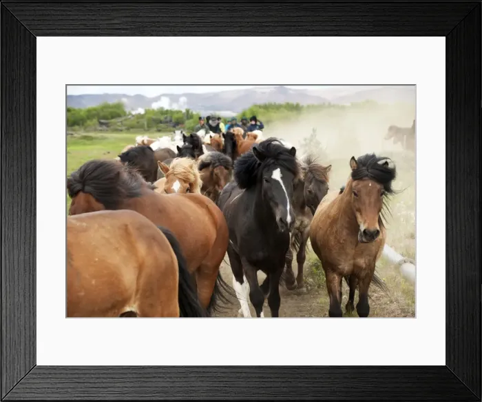 Framed Print : Picture No. 10983932 Framed Print : Picture No. 10983932