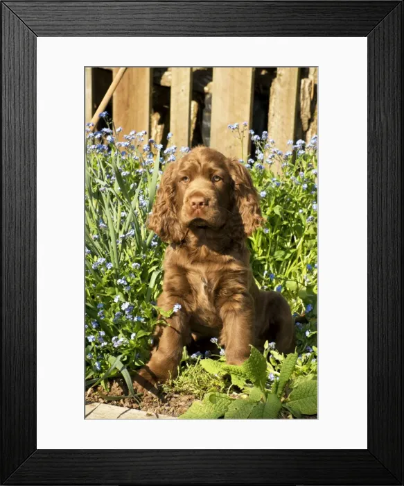 Framed Print : Picture No. 10983928 Framed Print : Picture No. 10983928