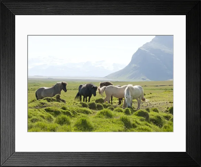 Framed Print : Picture No. 10983935 Framed Print : Picture No. 10983935
