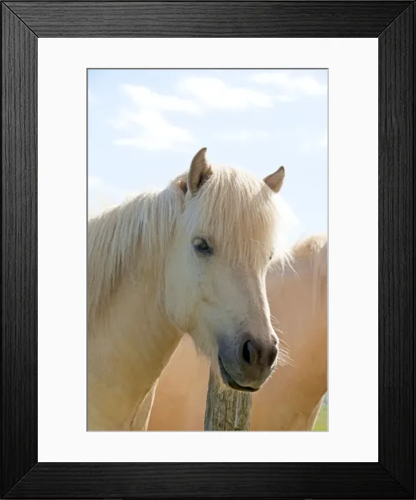 Framed Print : Picture No. 10983936 Framed Print : Picture No. 10983936