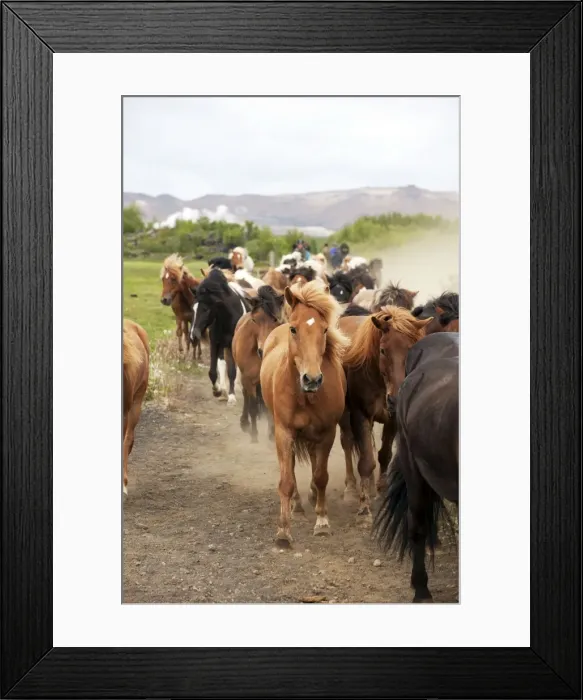 Framed Print : Picture No. 10983931 Framed Print : Picture No. 10983931