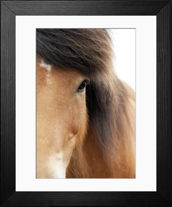 Framed Print : Picture No. 10983934 Framed Print : Picture No. 10983934