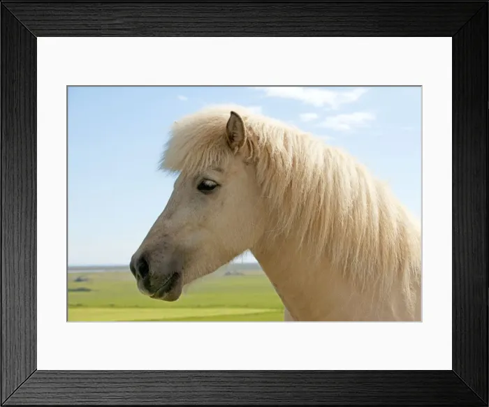Framed Print : Picture No. 10983938 Framed Print : Picture No. 10983938