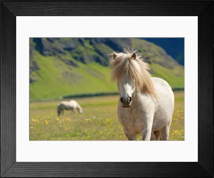 Framed Print : Picture No. 10983941 Framed Print : Picture No. 10983941