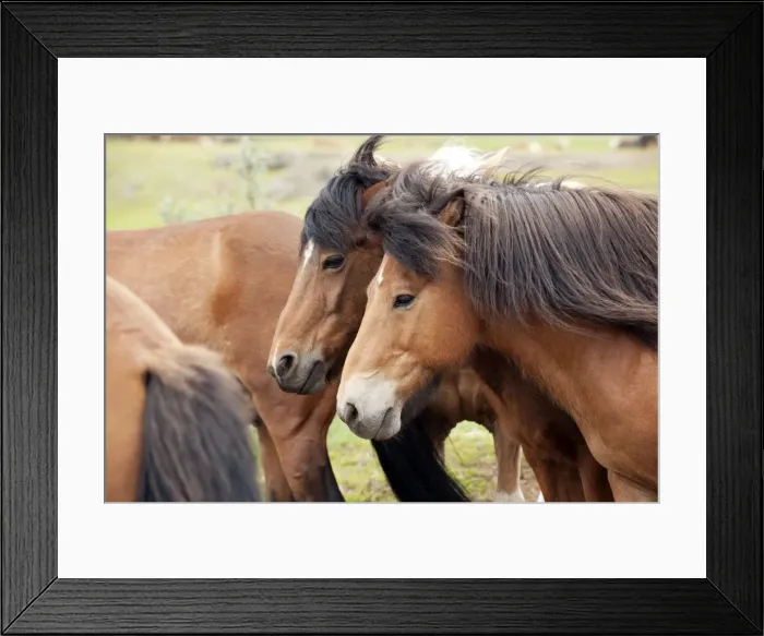 Framed Print : Picture No. 10983933 Framed Print : Picture No. 10983933