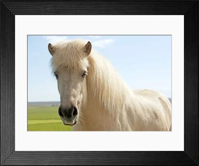 Framed Print : Picture No. 10983937 Framed Print : Picture No. 10983937