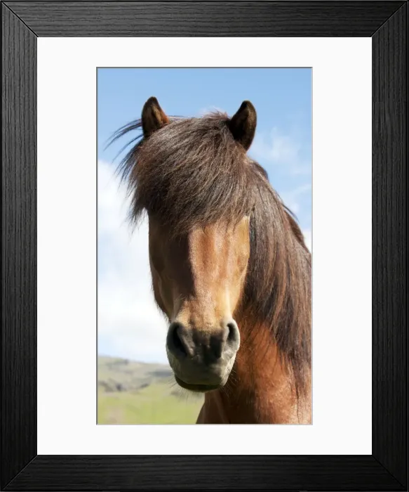Framed Print : Picture No. 10983944 Framed Print : Picture No. 10983944