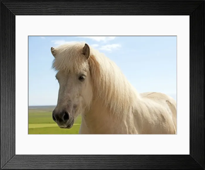 Framed Print : Picture No. 10983939 Framed Print : Picture No. 10983939