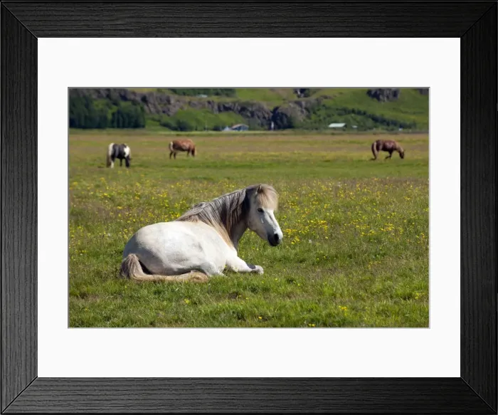 Framed Print : Picture No. 10983943 Framed Print : Picture No. 10983943