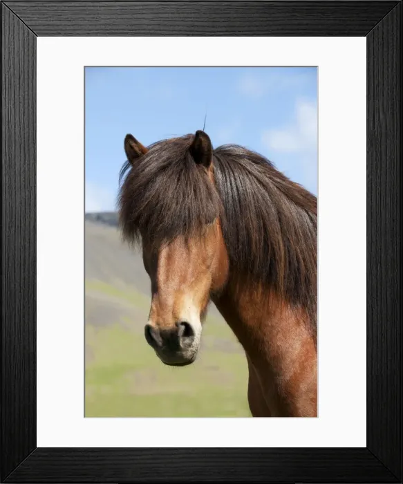 Framed Print : Picture No. 10983945 Framed Print : Picture No. 10983945