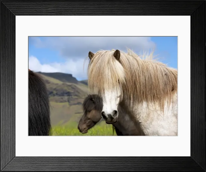 Framed Print : Picture No. 10983942