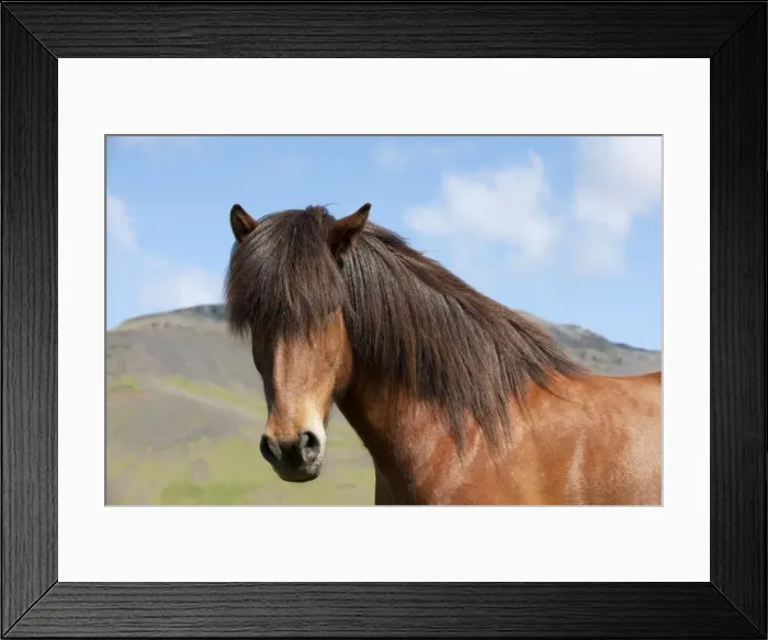 Framed Print : Picture No. 10983946 Framed Print : Picture No. 10983946