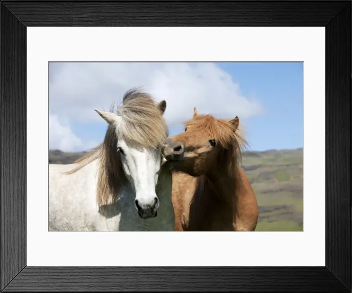 Framed Print : Picture No. 10983951 Framed Print : Picture No. 10983951
