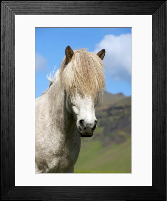 Framed Print : Picture No. 10983947 Framed Print : Picture No. 10983947