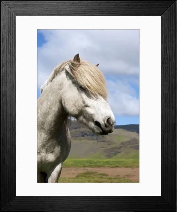 Framed Print : Picture No. 10983948 Framed Print : Picture No. 10983948