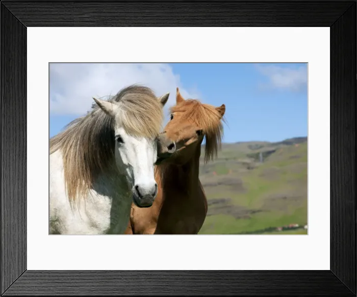 Framed Print : Picture No. 10983950 Framed Print : Picture No. 10983950