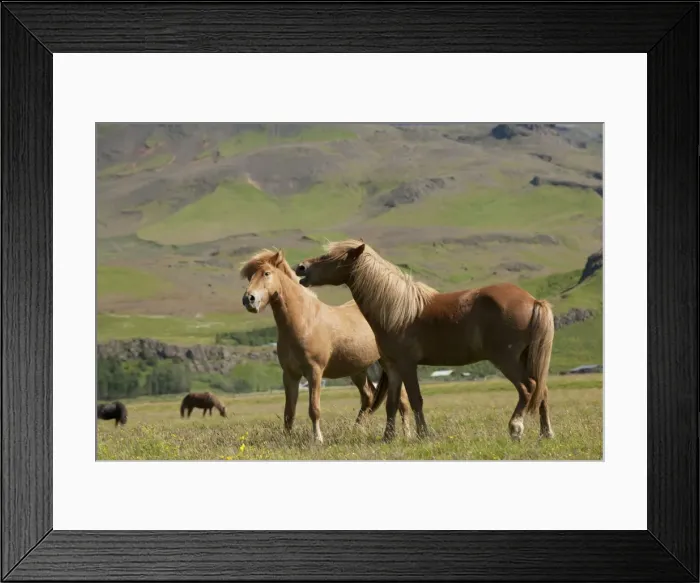 Framed Print : Picture No. 10983953 Framed Print : Picture No. 10983953