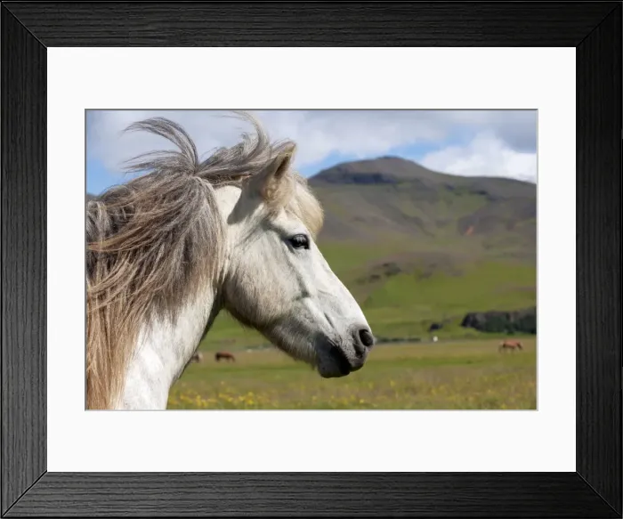 Framed Print : Picture No. 10983949 Framed Print : Picture No. 10983949