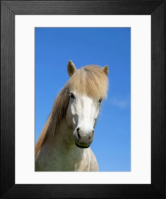 Framed Print : Picture No. 10983957 Framed Print : Picture No. 10983957