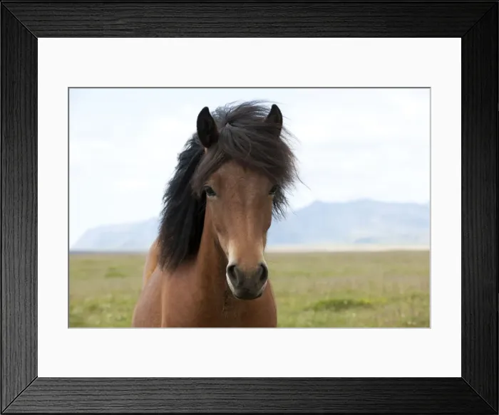 Framed Print : Picture No. 10983958 Framed Print : Picture No. 10983958
