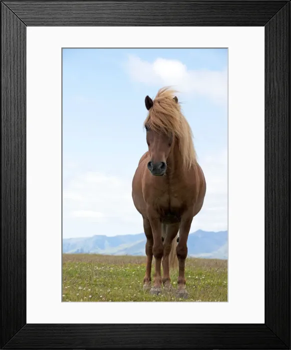 Framed Print : Picture No. 10983959 Framed Print : Picture No. 10983959