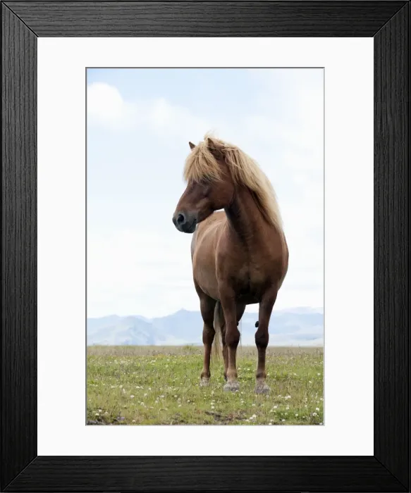 Framed Print : Picture No. 10983960 Framed Print : Picture No. 10983960