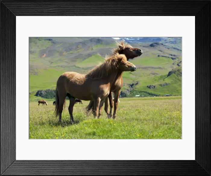 Framed Print : Picture No. 10983954 Framed Print : Picture No. 10983954