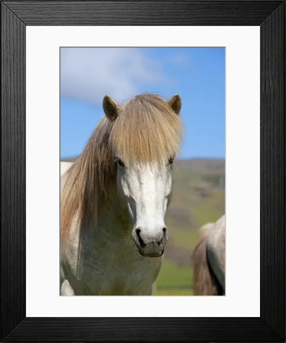 Framed Print : Picture No. 10983955 Framed Print : Picture No. 10983955