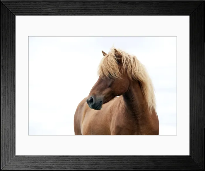 Framed Print : Picture No. 10983962 Framed Print : Picture No. 10983962
