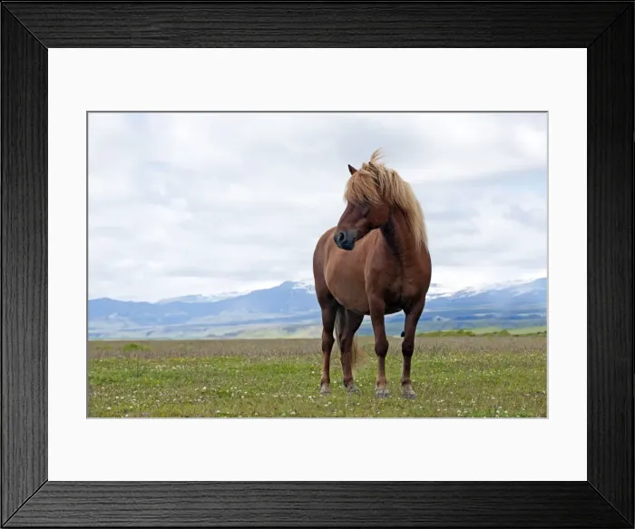 Framed Print : Picture No. 10983963 Framed Print : Picture No. 10983963