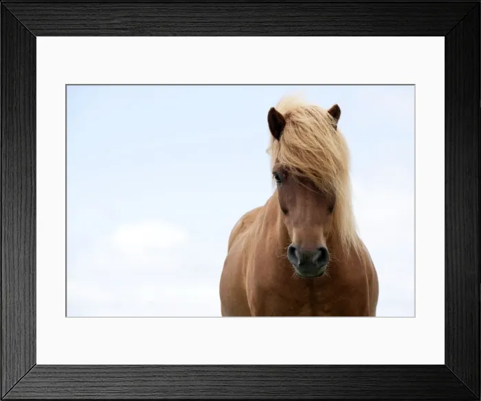 Framed Print : Picture No. 10983965 Framed Print : Picture No. 10983965