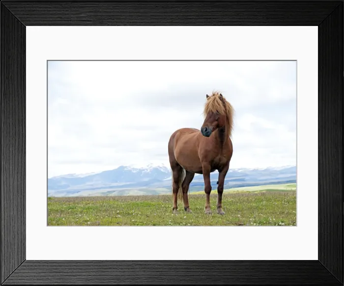 Framed Print : Picture No. 10983961 Framed Print : Picture No. 10983961